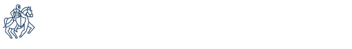 logo footer